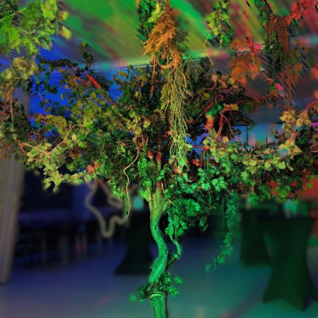 Jungle Party