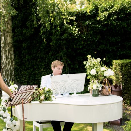 Pianist Met Vleugelpiano