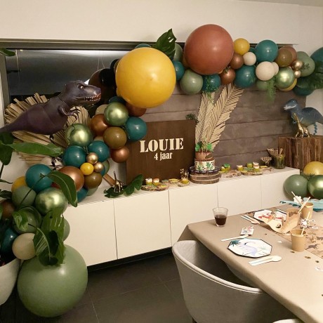 Dino Party