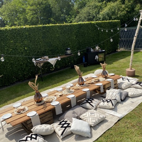 Boho Picnic