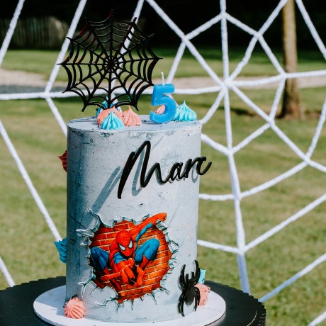 Spiderman Party