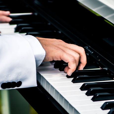 Pianist Met Vleugelpiano